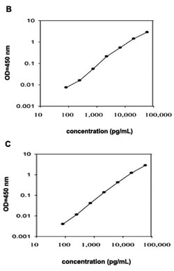 Abnova&trade;&nbsp;Faslg (Rat) ELISA Kit