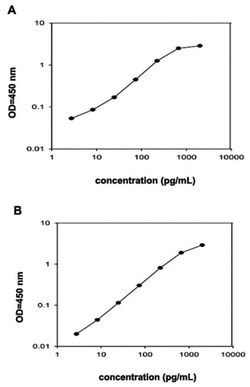 Abnova&trade;&nbsp;Cx3cl1 (Rat) ELISA Kit