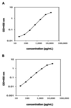 Abnova&trade;&nbsp;Ccl2 (Rat) ELISA Kit