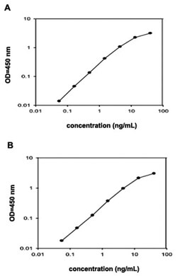 Abnova&trade;&nbsp;Mmp8 (Rat) ELISA Kit