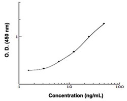 Abnova&trade;&nbsp;GCK (Human) ELISA Kit