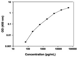 Abnova&trade;&nbsp;PPBP (Rat) ELISA Kit
