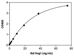 Abnova&trade;&nbsp;KNG1 (Rat) ELISA Kit