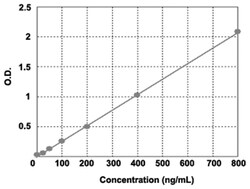 Abnova&trade;&nbsp;VIM (Human) ELISA Kit