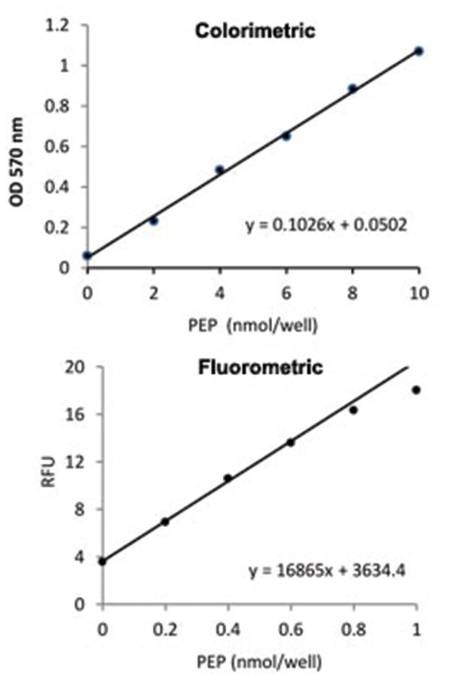 Abnova Phosphoenolpyruvate Assay Kit (Colorimetric/Fluorometric) 1 kit