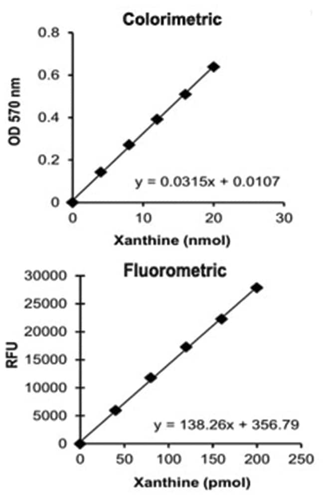 Abnova Xanthine/Hypoxanthine Assay Kit (Colorimetric/Fluorometric) 1