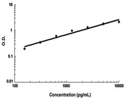Abnova SIGLEC1 (Human) ELISA Kit 1 Kit | Buy Online | Abnova&trade; | Fisher Scientific