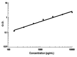 Abnova CRP (Human) ELISA Kit 1 Kit | Buy Online | Abnova&trade; | Fisher Scientific