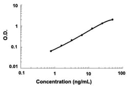 Abnova Nrp1 (Rat) ELISA Kit 1 Kit | Buy Online | Abnova&trade; | Fisher Scientific