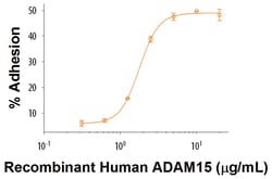 R&D Systems&trade;&nbsp;Recombinant Human ADAM15 Protein