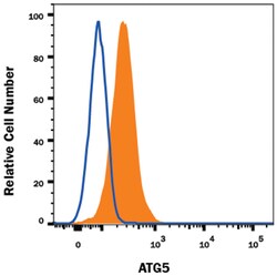 Human/Mouse/Rat ATG5 Alexa Fluor 647-conjugated Antibody, R D Systems 100