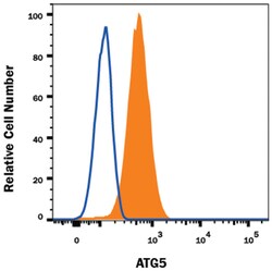 Human/Mouse/Rat ATG5 Alexa Fluor 594-conjugated Antibody, R D Systems 100 Tests | Buy Online | R&D Systems | Fisher Scientific