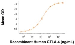 R&D Systems&trade;&nbsp;Recombinant Cynomolgus Monkey B7-1/CD80 His-tag Protein