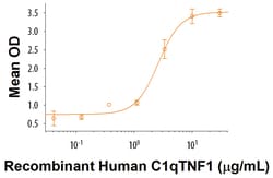 R&D Systems&trade;&nbsp;Recombinant Human C1qTNF1 Protein
