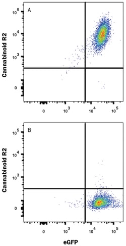 Human Cannabinoid R2/CB2/CNR2 Antibody, R D Systems 25&mu;g; Unlabeled:Antibodies,