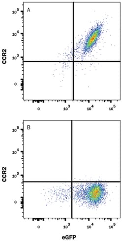 Rat CCR2 Alexa Fluor 647-conjugated Antibody, R D Systems 25&mu;g; Alexa