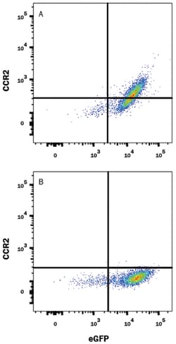 Rat CCR2 Alexa Fluor 405-conjugated Antibody, R D Systems 25&mu;g; Alexa