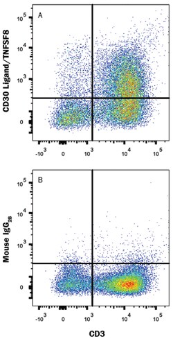 Human CD30 Ligand/TNFSF8 Alexa Fluor 647-conjugated Antibody, R D Systems