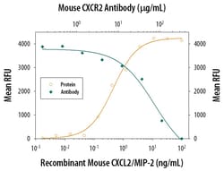 Mouse CXCR2/IL-8RB Antibody, R D Systems 500&mu;g; Unlabeled:Antibodies,