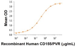 R&D Systems&trade;&nbsp;Recombinant Cynomolgus DNAM-1/CD226 Fc Chimera Protein
