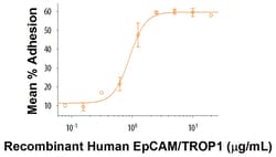 R&D Systems&trade;&nbsp;Recombinant Human EpCAM/TROP1 His-tag Protein