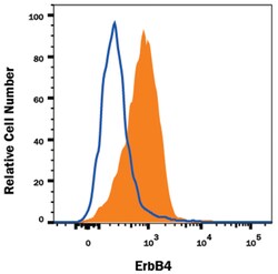 Human ErbB4/Her4 Alexa Fluor 700-conjugated Antibody, R D Systems 100 Tests;