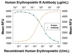 Human Erythropoietin R MAb (Clone 713210), R D Systems:Antibodies:Primary