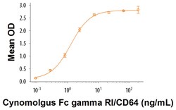 R&D Systems&trade;&nbsp;Recombinant Cynomolgus Monkey Fc gamma RI/CD64 Protein