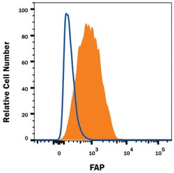 Human Fibroblast Activation Protein alpha/FAP Alexa Fluor 488-conjugated