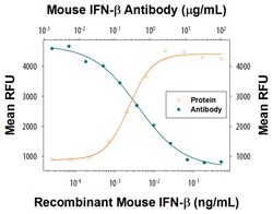 Mouse IFN-beta Antibody, R D Systems:Antibodies:Primary Antibodies