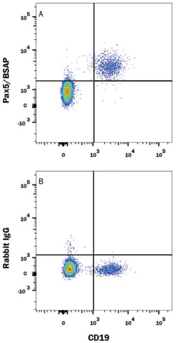 R&D Systems IgG Rabbit, Clone: 60024B Isotype Control, Novus Biologicals™