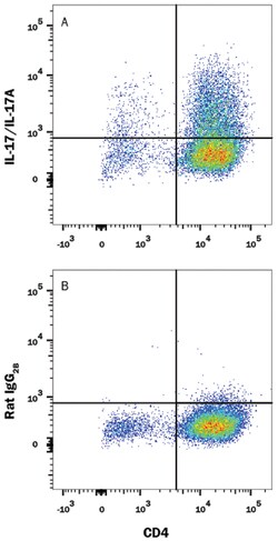 Mouse IL-17/IL-17A PE-conjugated Antibody, R D Systems 100&mu;g; PE:Antibodies,