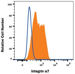 Mouse Integrin alpha 7 Alexa Fluor 405-conjugated Antibody, R D Systems 25 &mu;g | Buy Online | R&D Systems | Fisher Scientific
