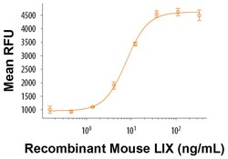 R&D Systems&trade;&nbsp;Recombinant Mouse LIX (aa 49-118) Protein