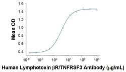 Human Lymphotoxin beta R/TNFRSF3 Antibody, R D Systems 100&mu;g; Unlabeled:Anticorps,