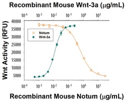 R&D Systems&trade;&nbsp;Recombinant Mouse Notum Protein