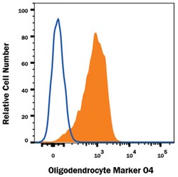 Oligodendrocyte Marker O4 Alexa Fluor 594-conjugated Antibody, R D Systems