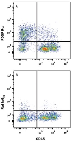 Mouse PDGF R alpha Alexa Fluor 488-conjugated Antibody, R D Systems 25&mu;g;