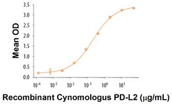 R&D Systems&trade;&nbsp;Recombinant Cynomolgus PD-L2/B7-DC Fc Chimera Protein