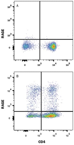 RAGE Rat anti-Mouse, Alexa Fluor 488, Clone-697023, R D Systems 100&mu;g;