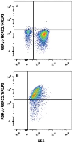 Human ROR gamma t/RORC2/NR1F3 Antibody, R D Systems 100&mu;g; Unlabeled:Antibodies,