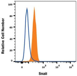 Human Snail Alexa Fluor 488-conjugated Antibody, R D Systems 25 Tests;