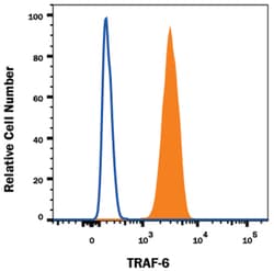 Human TRAF-6 Antibody, R D Systems:Antibodies:Primary Antibodies