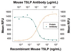 Mouse TSLP Antibody, R D Systems 25&mu;g; Unlabeled:Antibodies, Monoclonal
