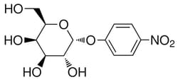 P-Nitrophenyl-α-D-Galactopyranoside, MP Biomedicals™