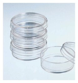 thumbnail image 2 of GenClone® Cell Culture Dishes - Genesee Scientific 2 of 14