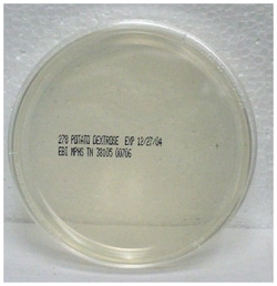 Edge Biologicals Dehydrated Culture Media: Potato Dextrose Agar Plate | Buy Online | Edge Biologicals | Fisher Scientific