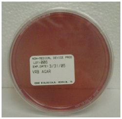 Edge Biologicals&nbsp;Dehydrated Culture Media: Violet Red Bile Agar