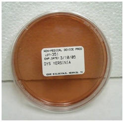 Edge Biologicals&nbsp;Dehydrated Culture Media: DYS Agar