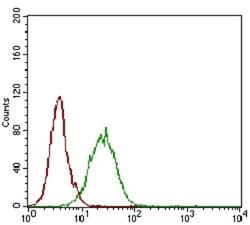 5'-Nucleotidase/CD73 Antibody (4G6E3) - BSA Free, Novus Biologicals 0.1 mL | Buy Online | Novus Biologicals | Fisher Scientific